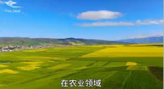 榆林干冰气肥